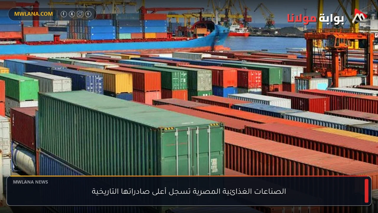 الصناعات الغذائية المصرية تسجل أعلى صادراتها التاريخية