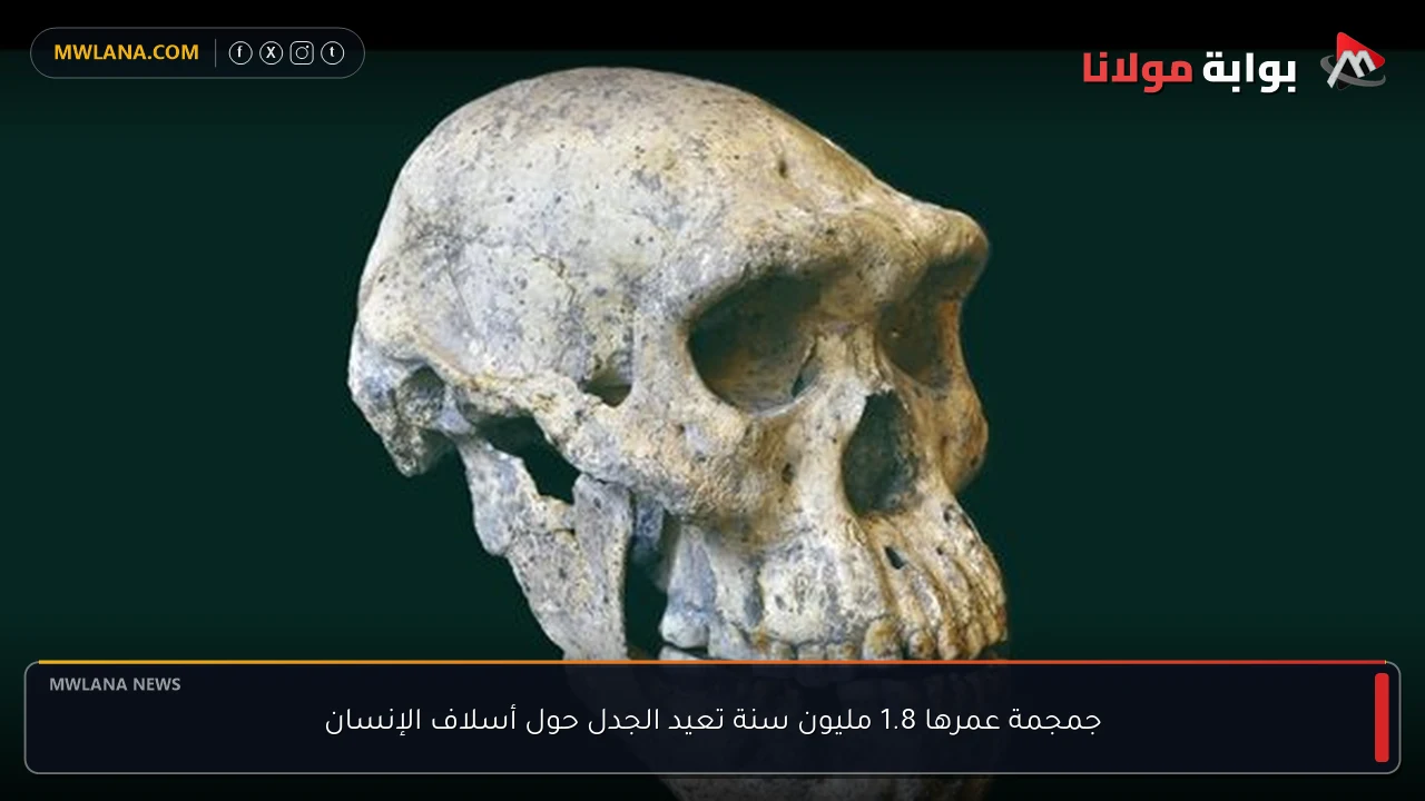 جمجمة عمرها 1.8 مليون سنة تعيد الجدل حول أسلاف الإنسان
