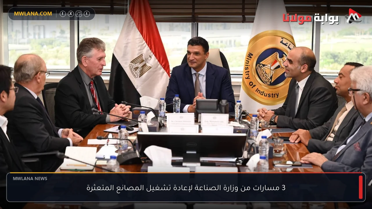 3 مسارات من وزارة الصناعة لإعادة تشغيل المصانع المتعثرة