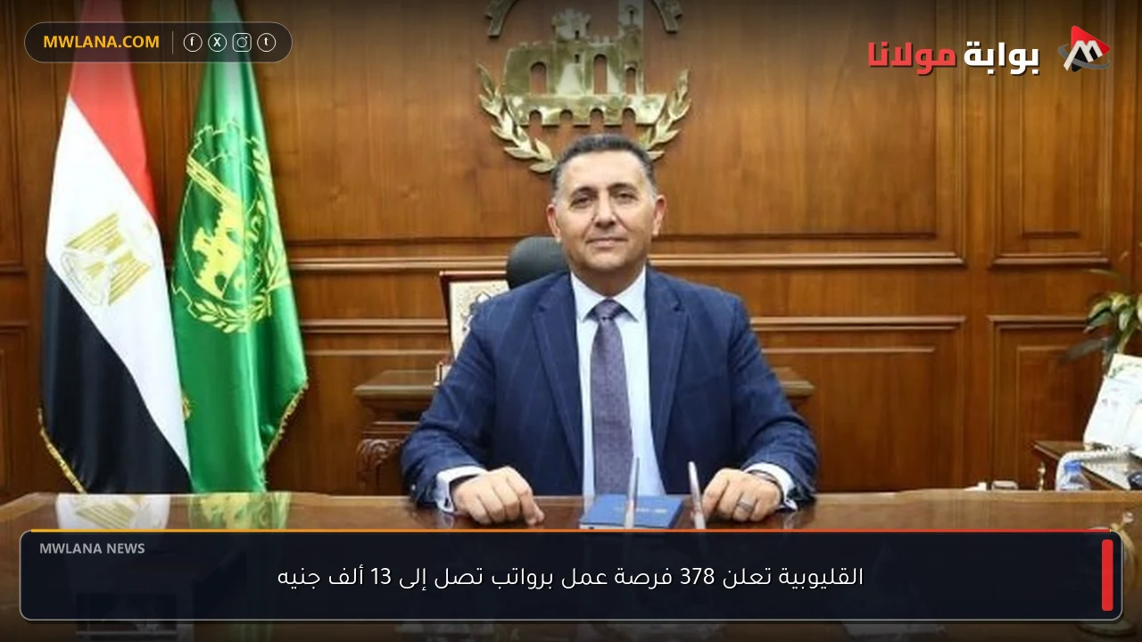 القليوبية تعلن 378 فرصة عمل برواتب تصل إلى 13 ألف جنيه