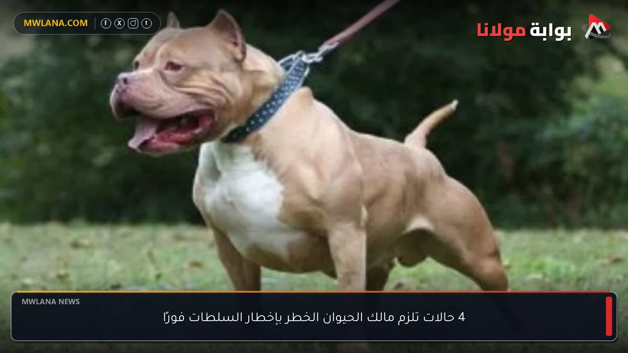 4 حالات تلزم مالك الحيوان الخطر بإخطار السلطات فورًا