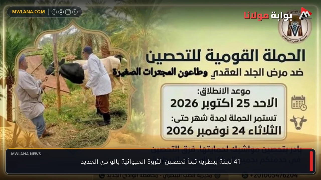 41 لجنة بيطرية تبدأ تحصين الثروة الحيوانية بالوادي الجديد