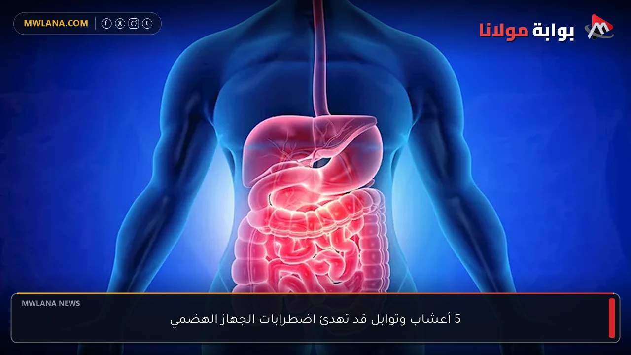 5 أعشاب وتوابل قد تهدئ اضطرابات الجهاز الهضمي