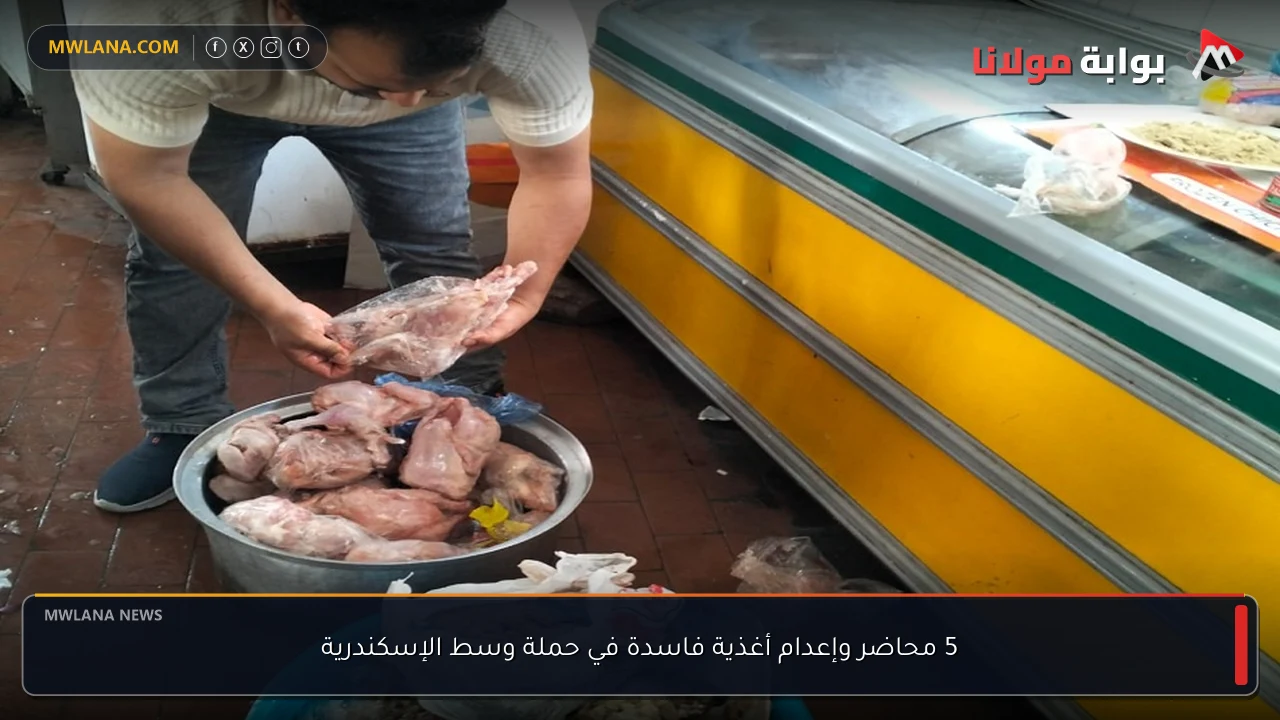 5 محاضر وإعدام أغذية فاسدة في حملة وسط الإسكندرية