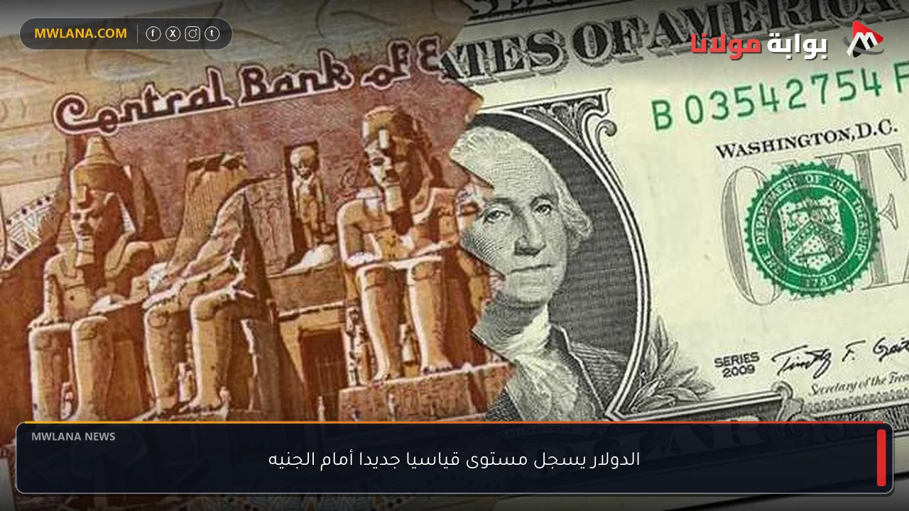 الدولار يسجل مستوى قياسيا جديدا أمام الجنيه