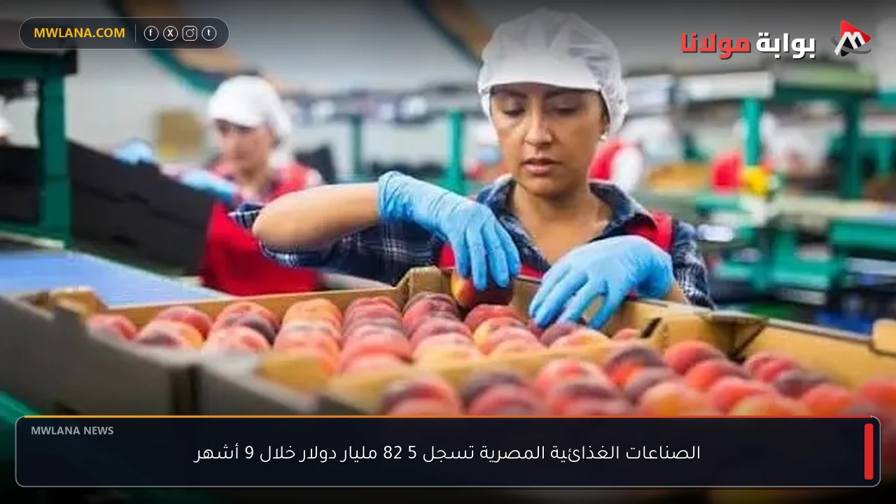 الصناعات الغذائية المصرية تسجل 5 82 مليار دولار خلال 9 أشهر