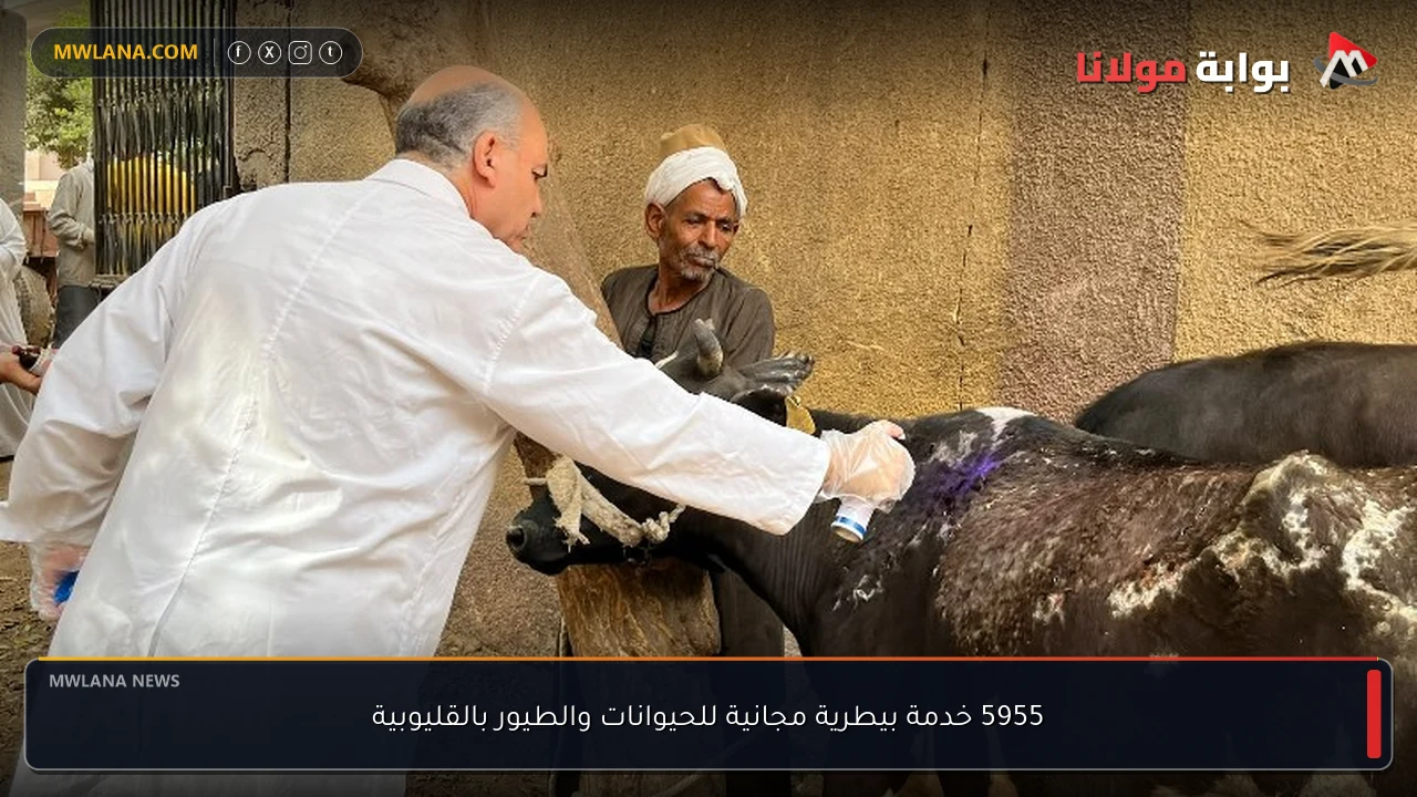 5955 خدمة بيطرية مجانية للحيوانات والطيور بالقليوبية