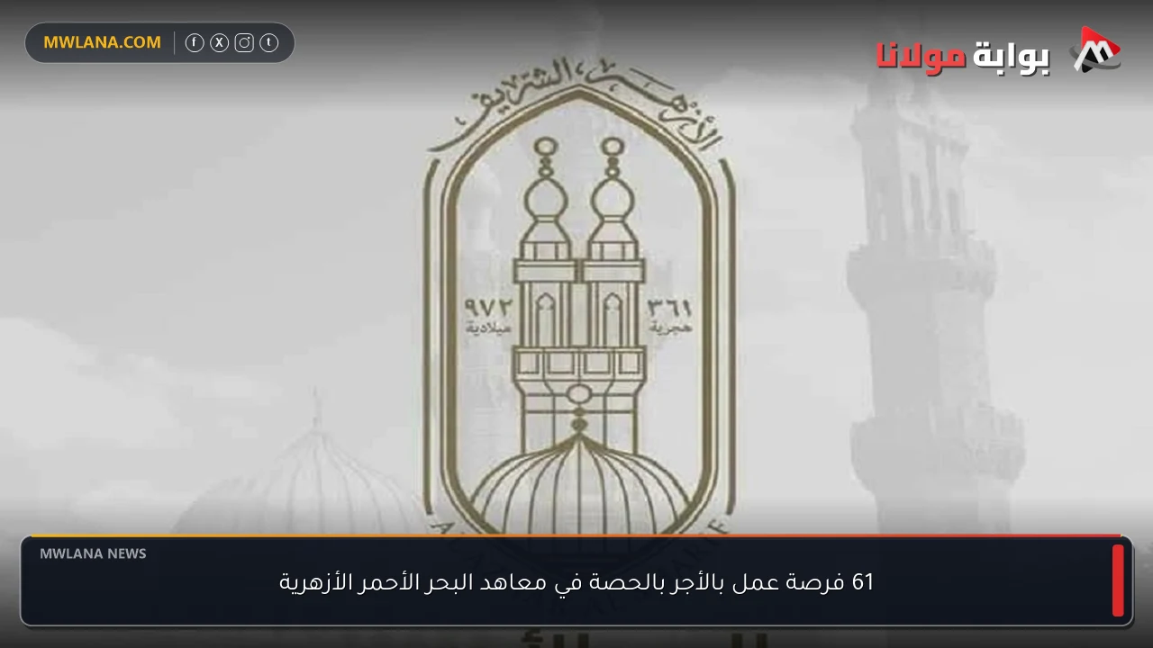 61 فرصة عمل بالأجر بالحصة في معاهد البحر الأحمر الأزهرية