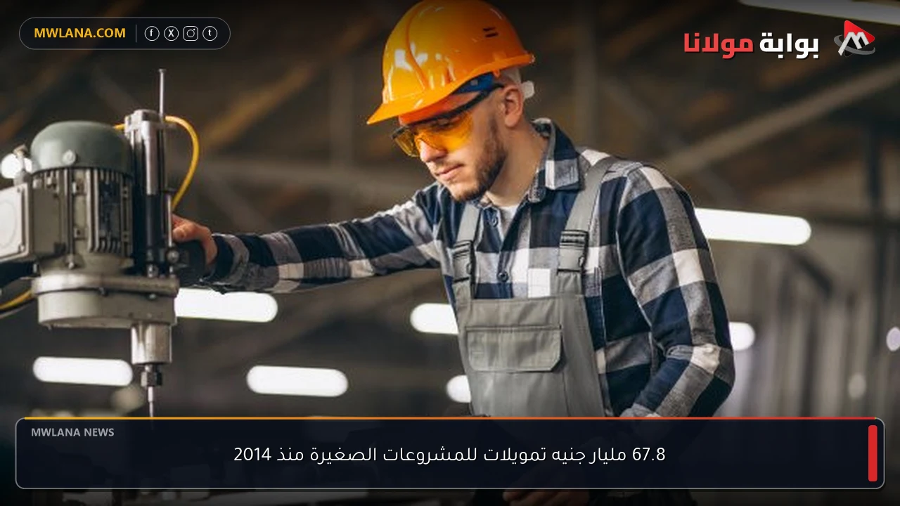 67.8 مليار جنيه تمويلات للمشروعات الصغيرة منذ 2014