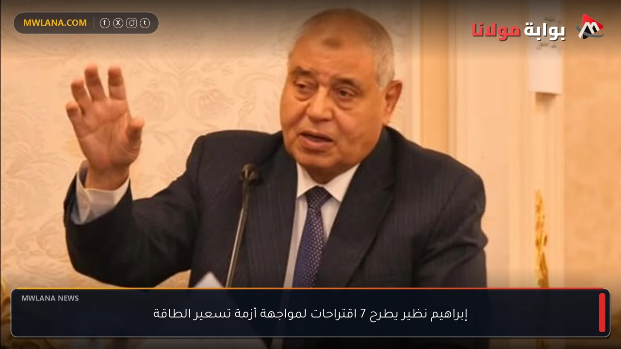 إبراهيم نظير يطرح 7 اقتراحات لمواجهة أزمة تسعير الطاقة