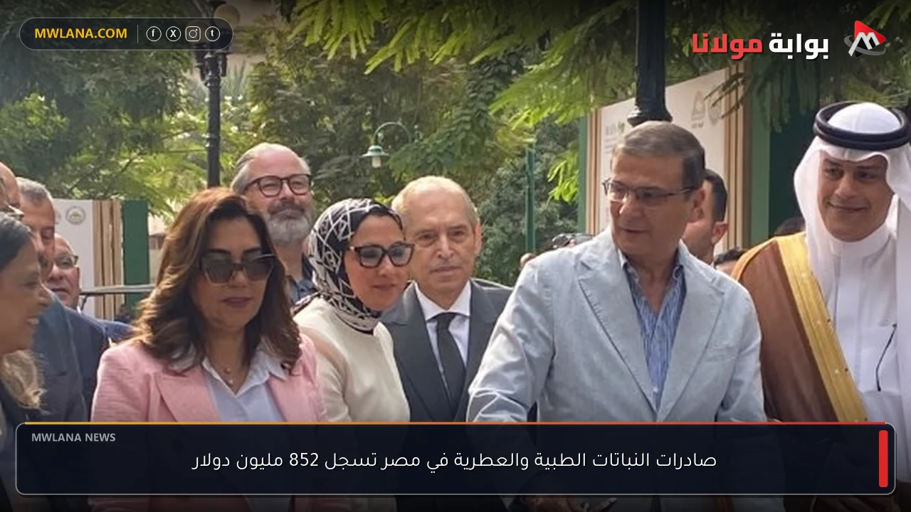 صادرات النباتات الطبية والعطرية في مصر تسجل 852 مليون دولار