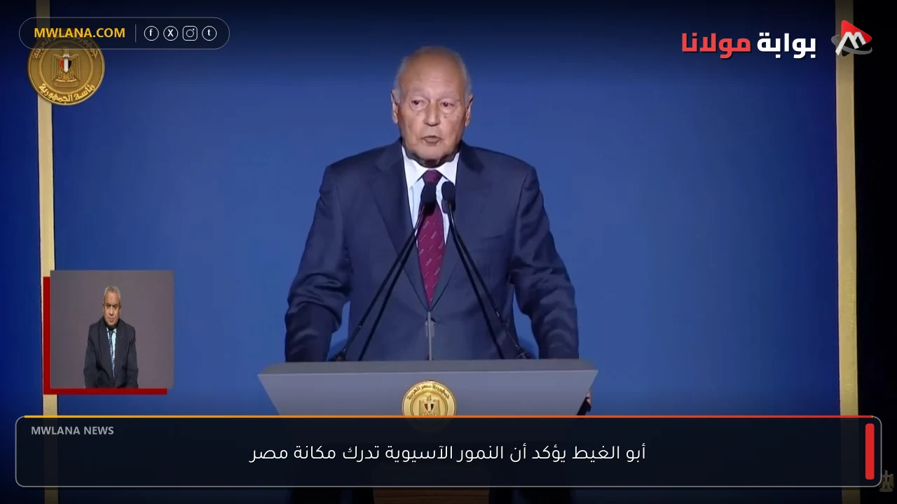 أبو الغيط يؤكد أن النمور الآسيوية تدرك مكانة مصر