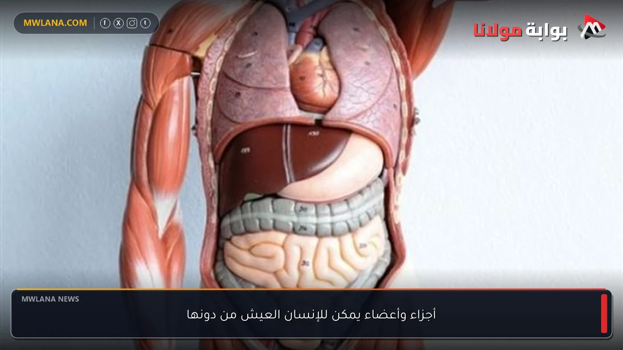 أجزاء وأعضاء يمكن للإنسان العيش من دونها