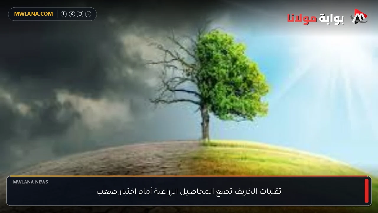 تقلبات الخريف تضع المحاصيل الزراعية أمام اختبار صعب