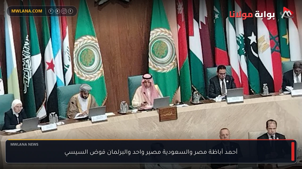 أحمد أباظة مصر والسعودية مصير واحد والبرلمان فوض السيسي