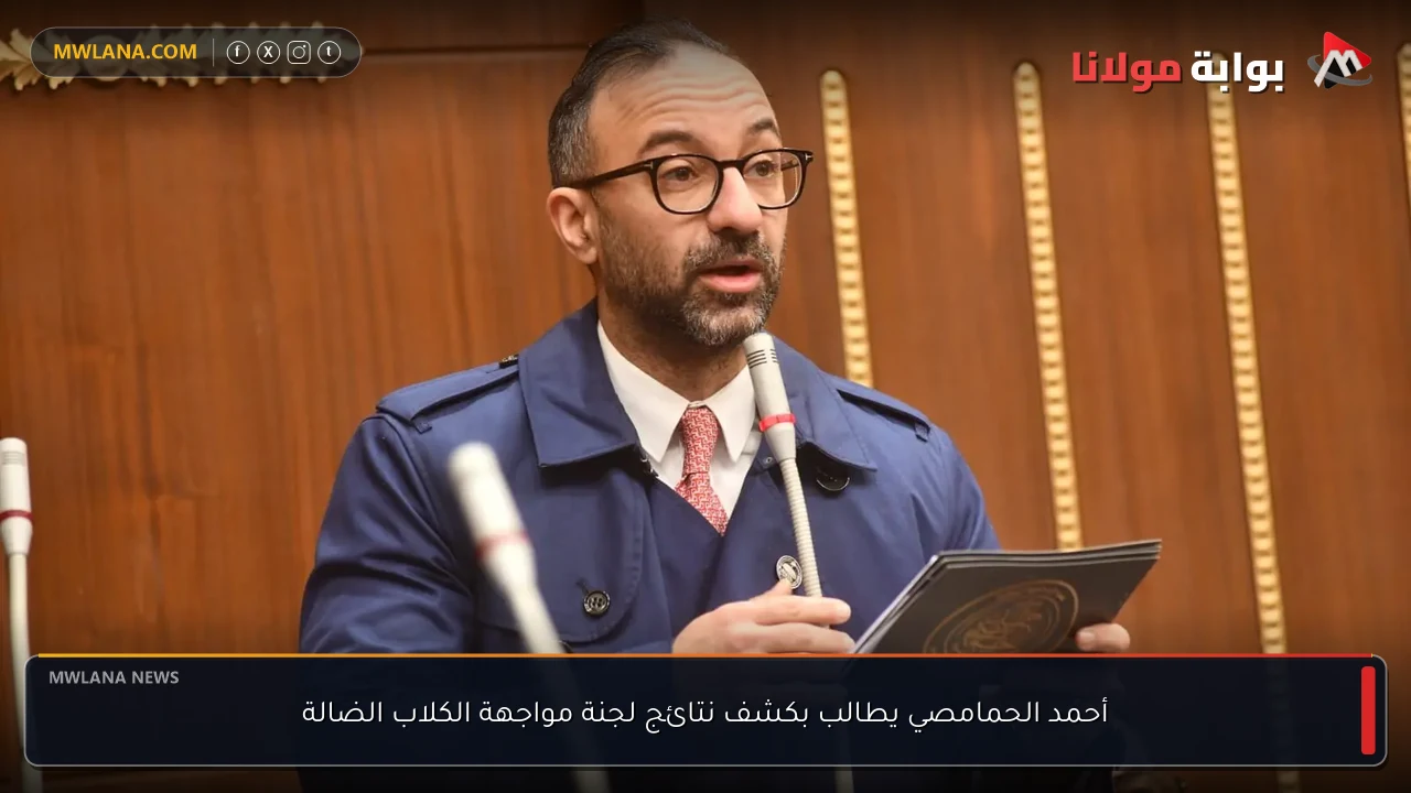 أحمد الحمامصي يطالب بكشف نتائج لجنة مواجهة الكلاب الضالة