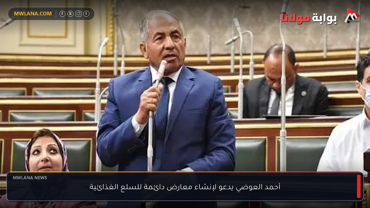 أحمد العوضي يدعو لإنشاء معارض دائمة للسلع الغذائية