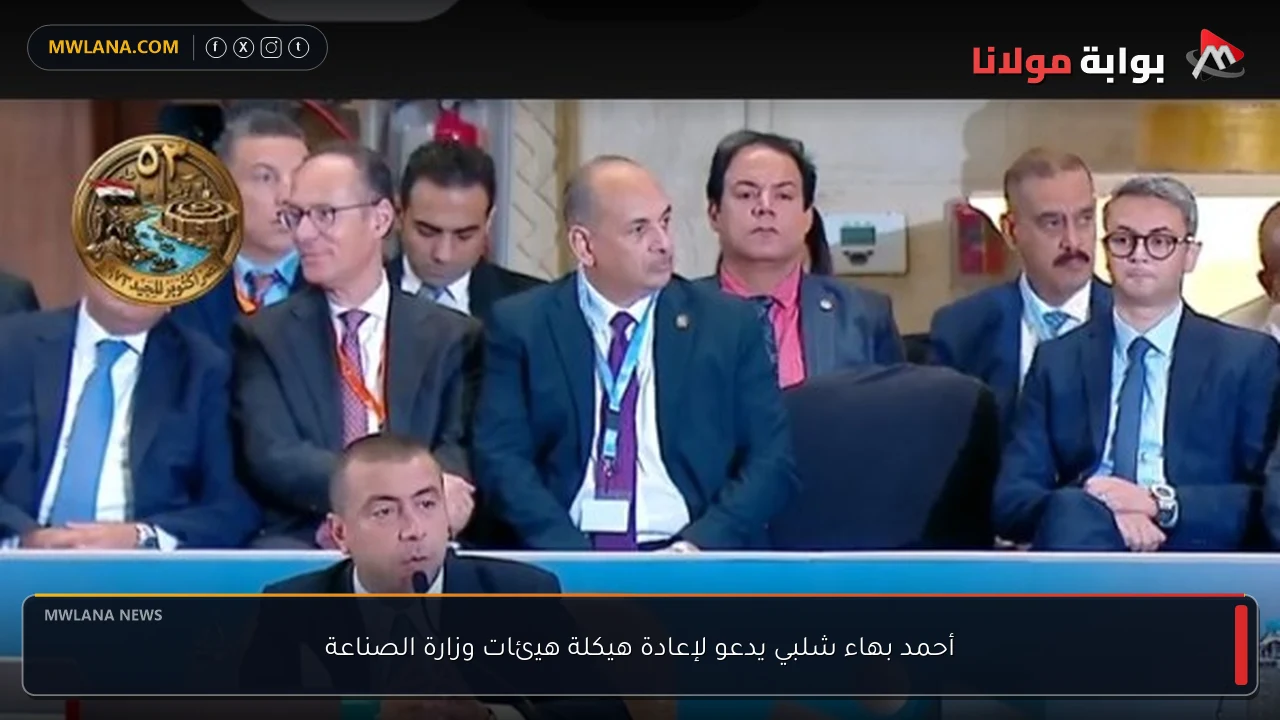 أحمد بهاء شلبي يدعو لإعادة هيكلة هيئات وزارة الصناعة
