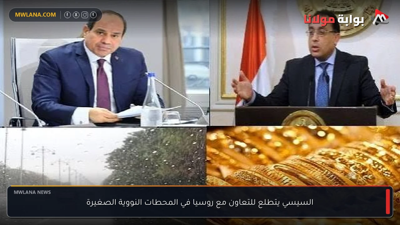 السيسي يتطلع للتعاون مع روسيا في المحطات النووية الصغيرة