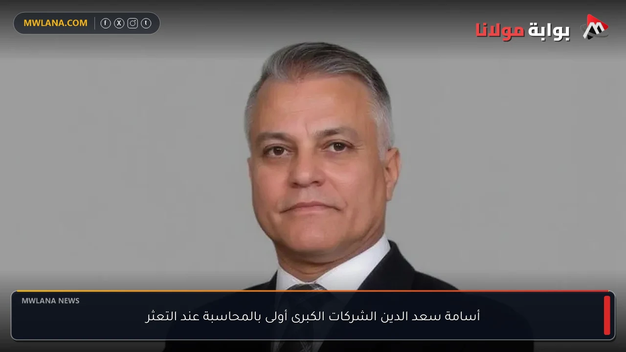 أسامة سعد الدين الشركات الكبرى أولى بالمحاسبة عند التعثر