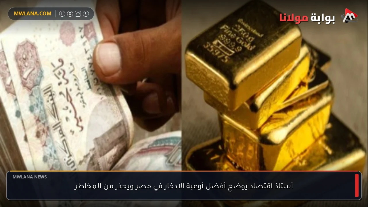 أستاذ اقتصاد يوضح أفضل أوعية الادخار في مصر ويحذر من المخاطر
