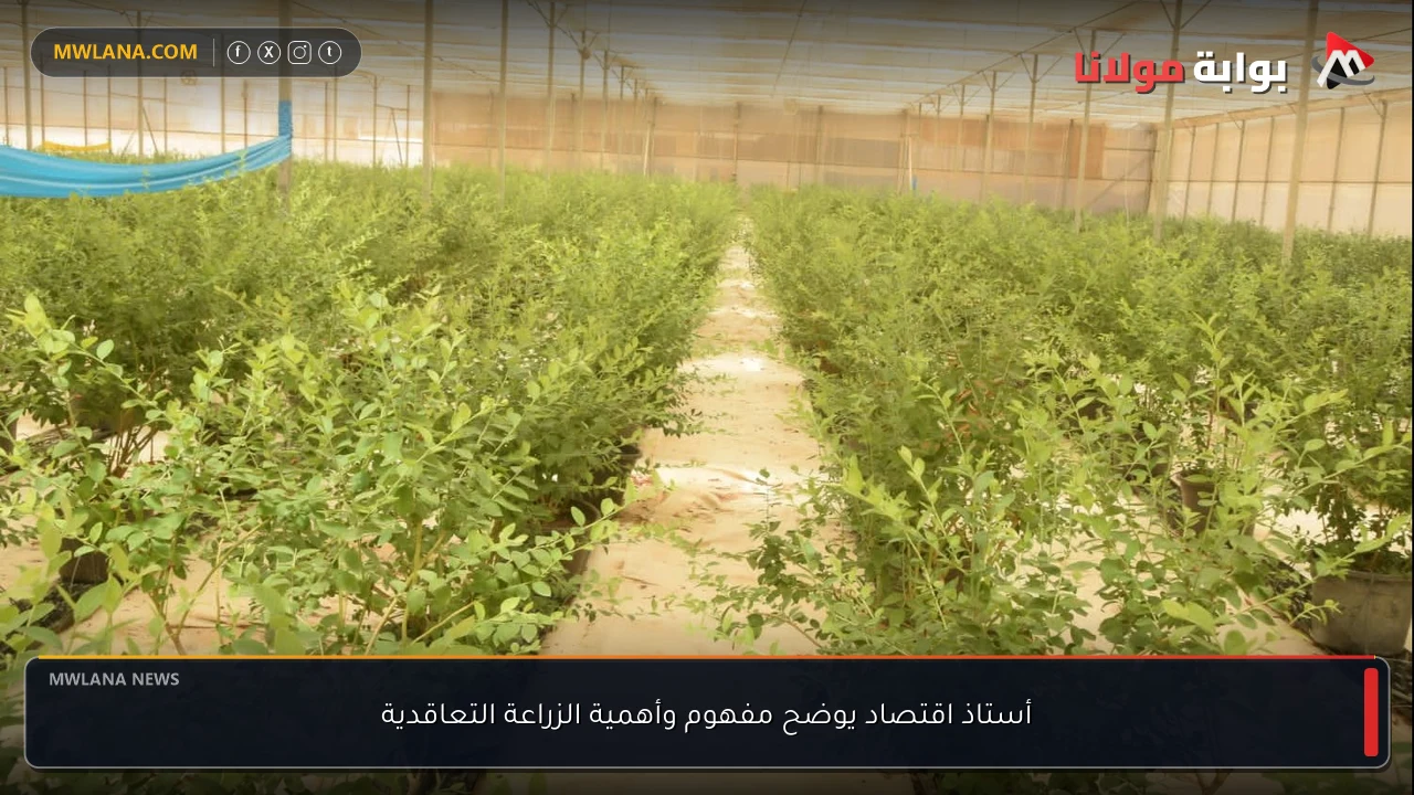 أستاذ اقتصاد يوضح مفهوم وأهمية الزراعة التعاقدية