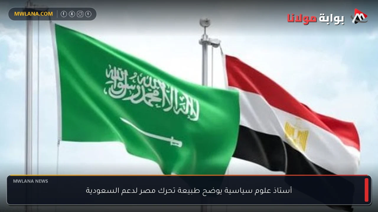 أستاذ علوم سياسية يوضح طبيعة تحرك مصر لدعم السعودية