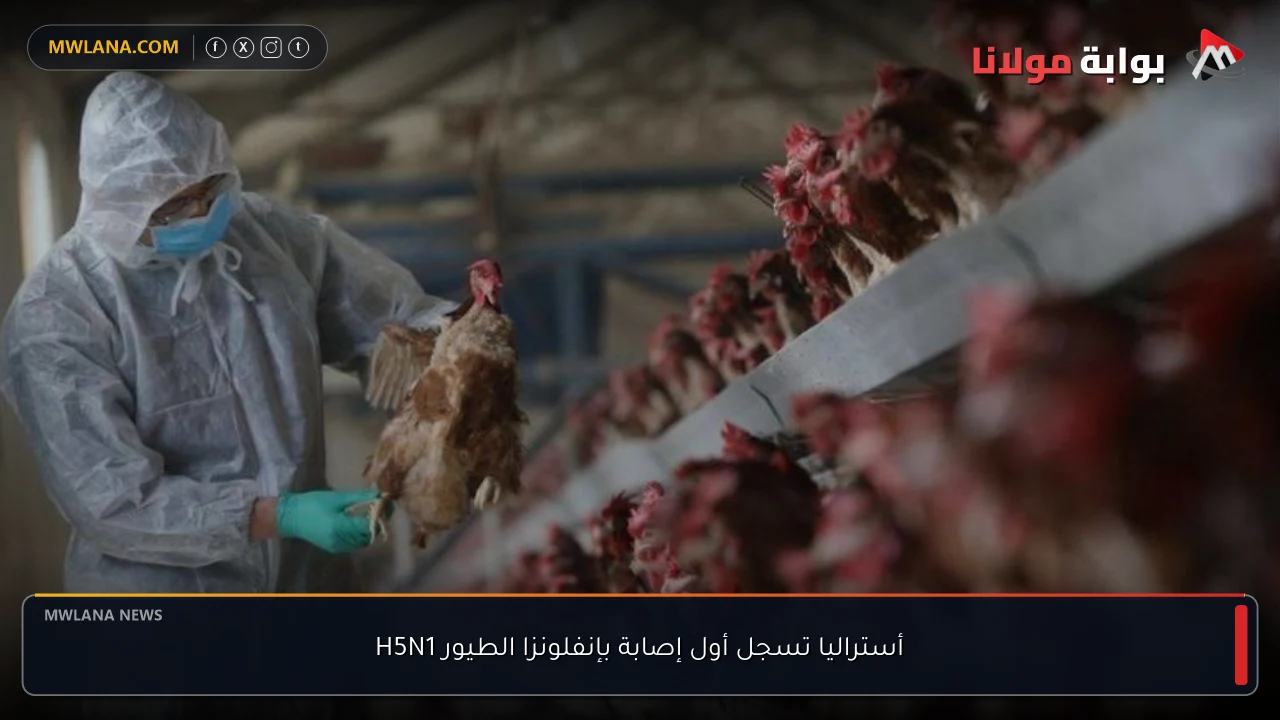 أستراليا تسجل أول إصابة بإنفلونزا الطيور H5N1