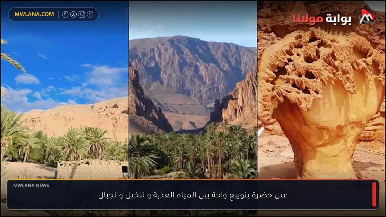 عين خضرة بنويبع واحة بين المياه العذبة والنخيل والجبال
