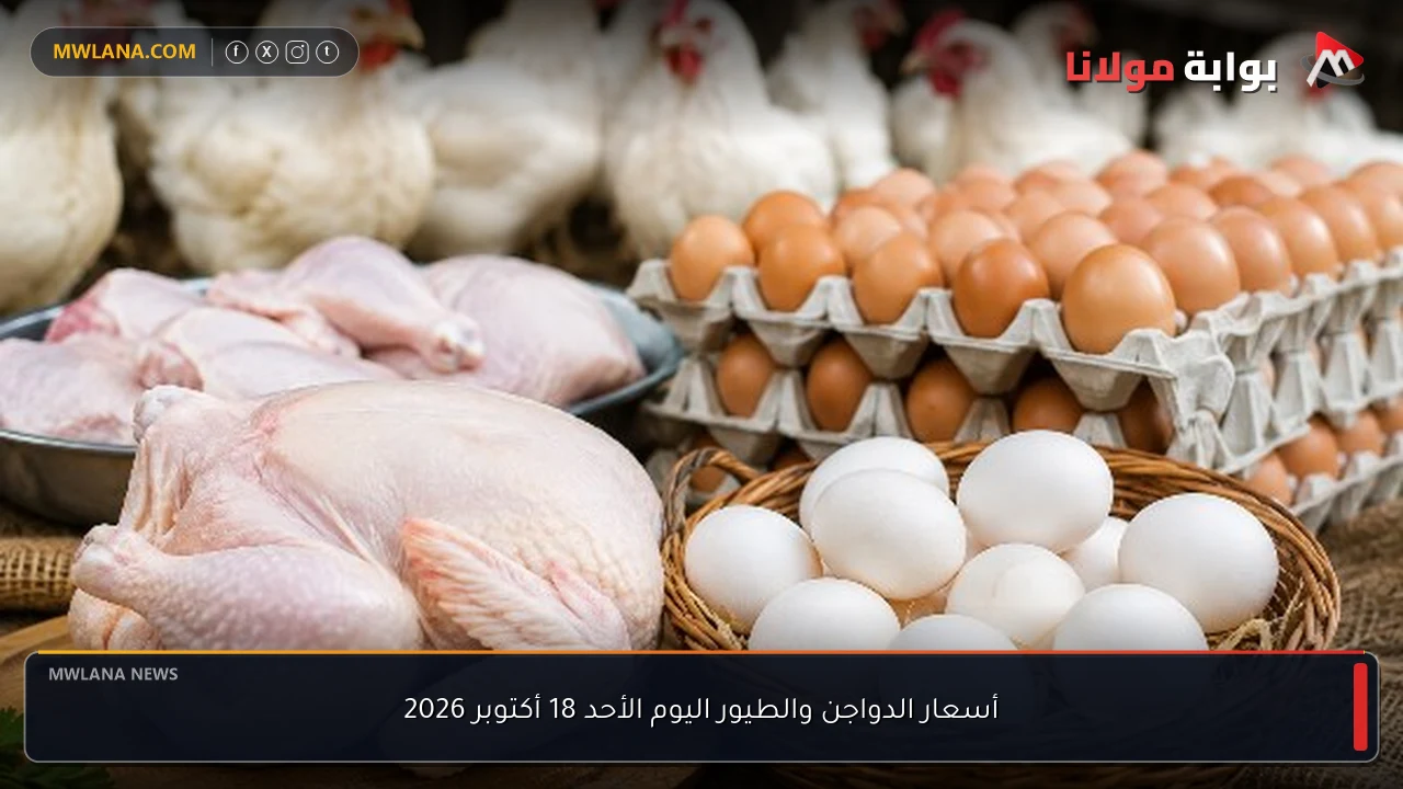 أسعار الدواجن والطيور اليوم الأحد 18 أكتوبر 2026