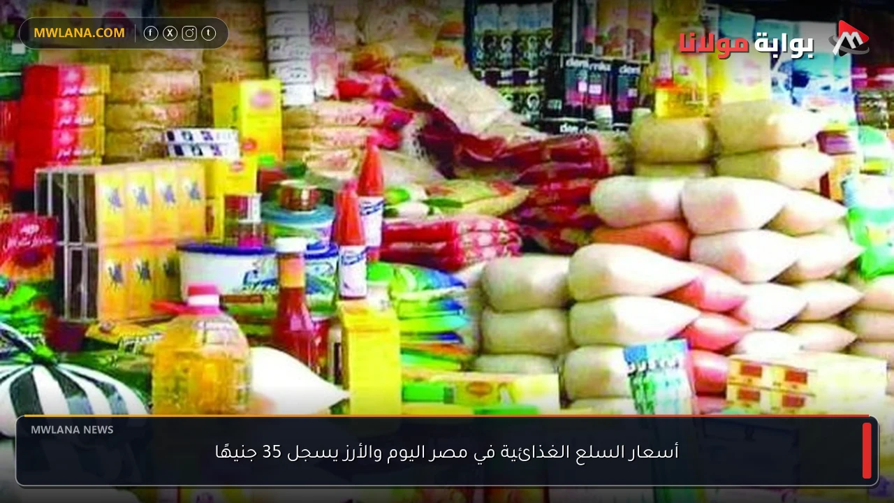 أسعار السلع الغذائية في مصر اليوم والأرز يسجل 35 جنيهًا