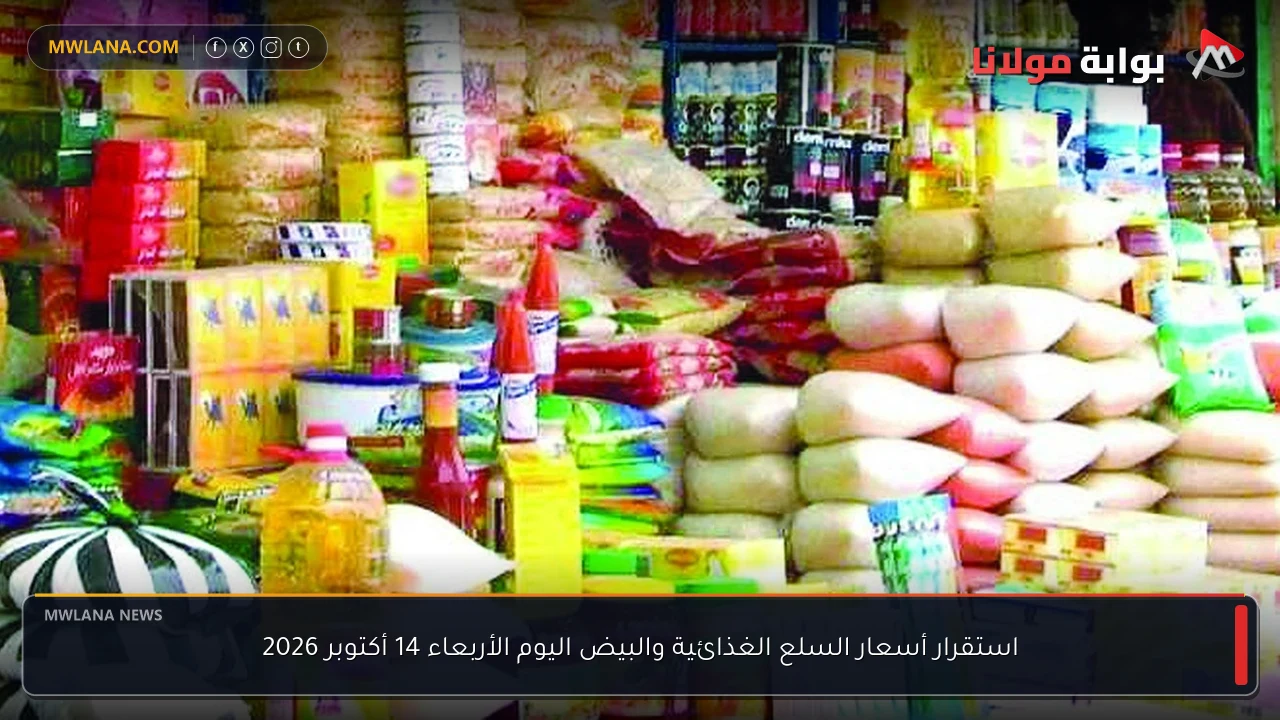 استقرار أسعار السلع الغذائية والبيض اليوم الأربعاء 14 أكتوبر 2026
