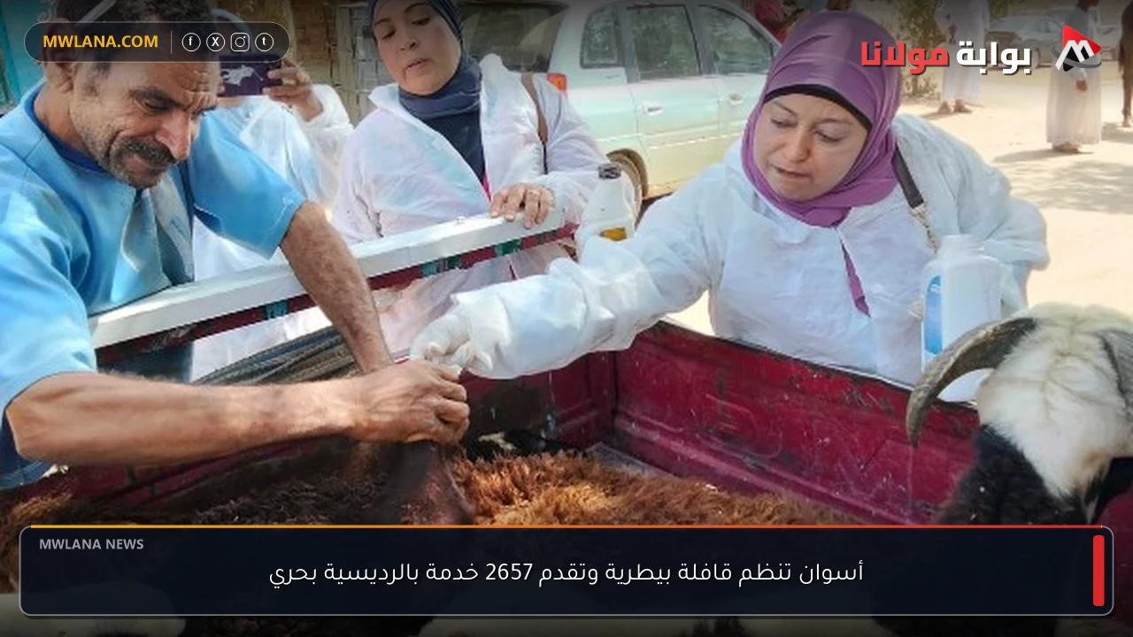 أسوان تنظم قافلة بيطرية وتقدم 2657 خدمة بالرديسية بحري
