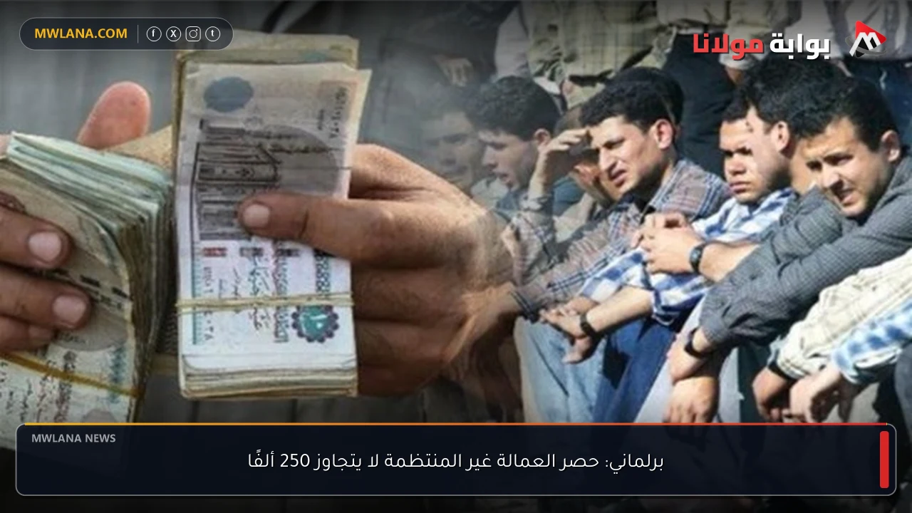 برلماني: حصر العمالة غير المنتظمة لا يتجاوز 250 ألفًا