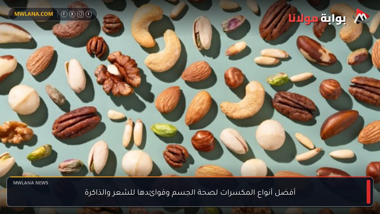 أفضل أنواع المكسرات لصحة الجسم وفوائدها للشعر والذاكرة