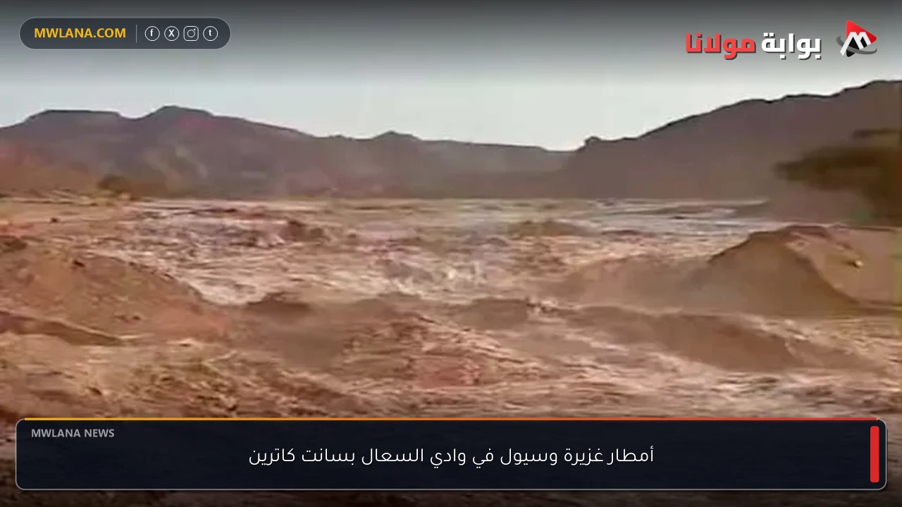 أمطار غزيرة وسيول في وادي السعال بسانت كاترين
