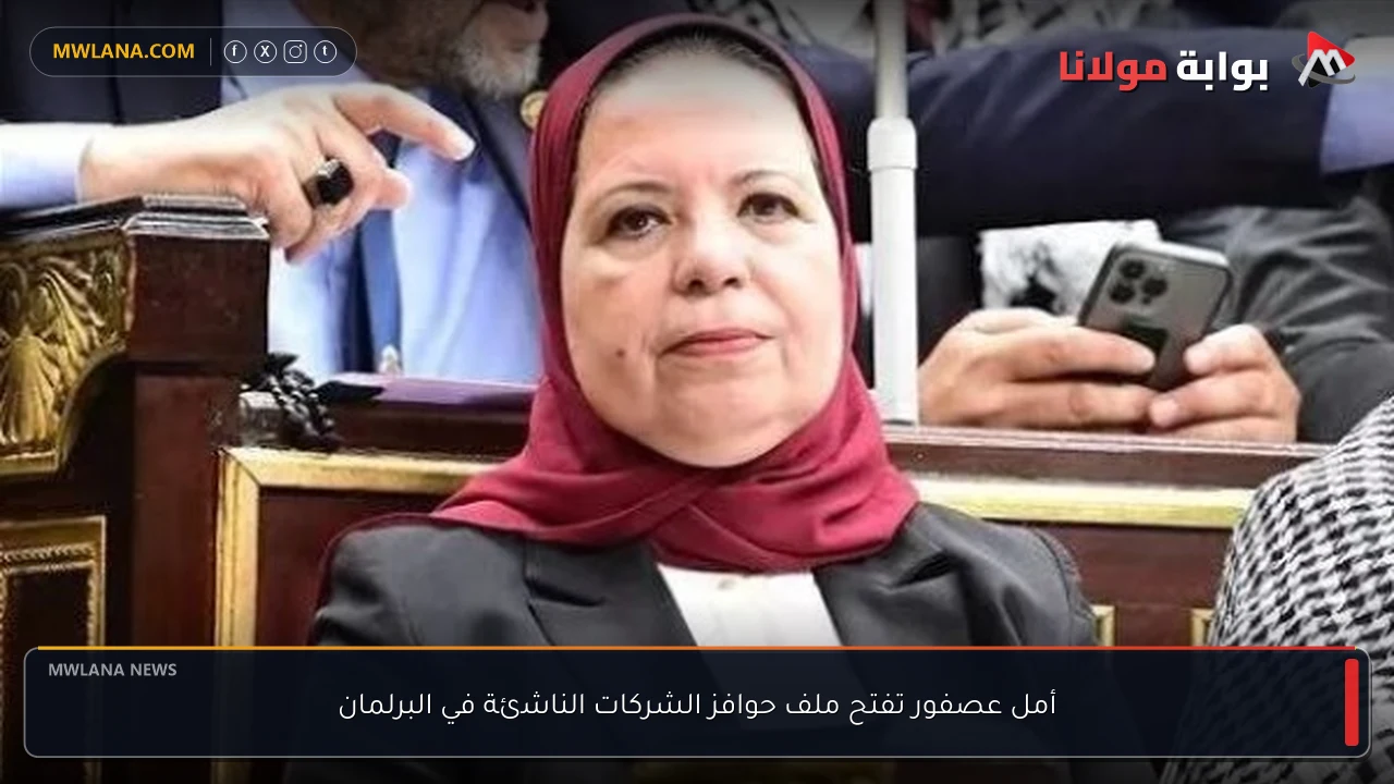 أمل عصفور تفتح ملف حوافز الشركات الناشئة في البرلمان