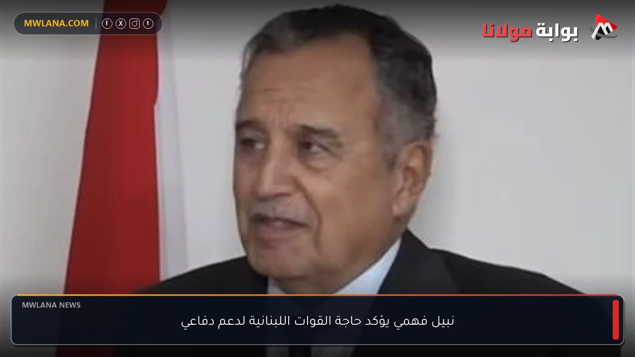 نبيل فهمي يؤكد حاجة القوات اللبنانية لدعم دفاعي