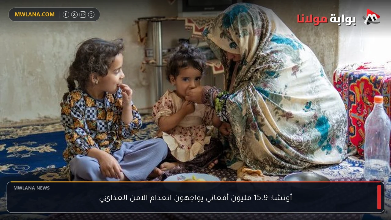 أوتشا: 15.9 مليون أفغاني يواجهون انعدام الأمن الغذائي