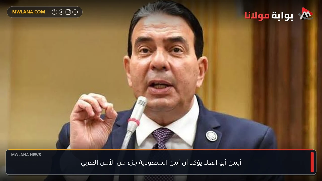 أيمن أبو العلا يؤكد أن أمن السعودية جزء من الأمن العربي