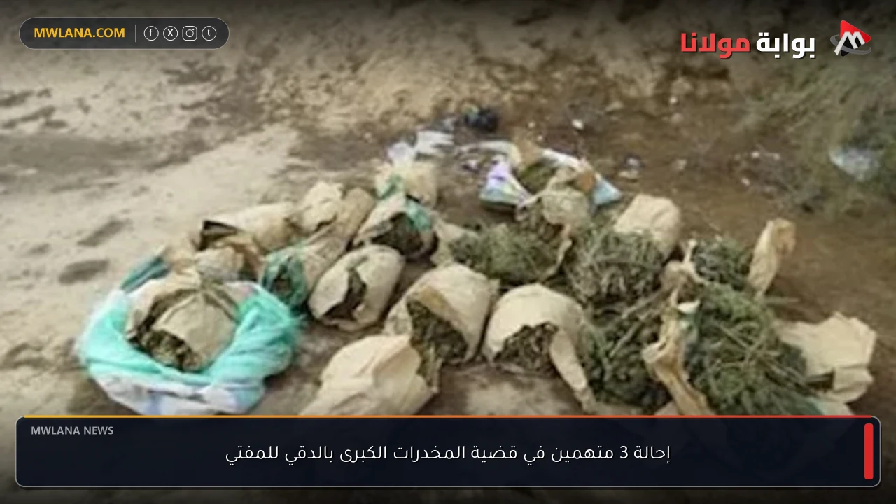 إحالة 3 متهمين في قضية المخدرات الكبرى بالدقي للمفتي