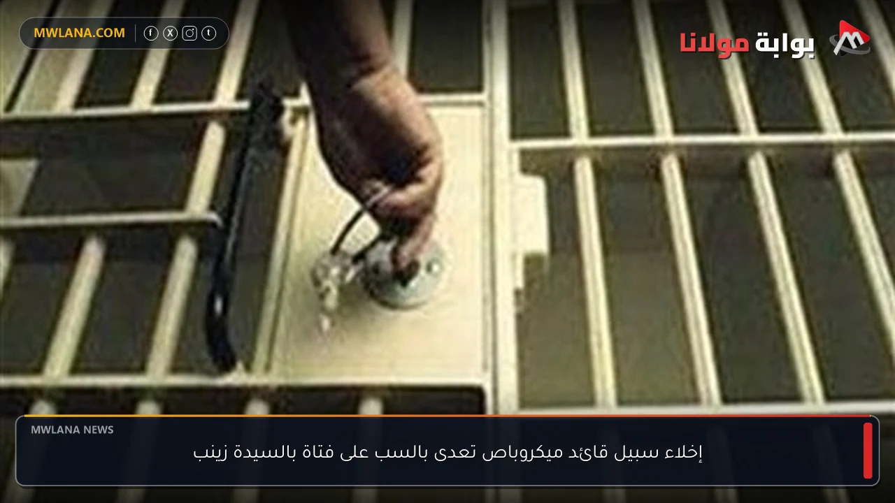 إخلاء سبيل قائد ميكروباص تعدى بالسب على فتاة بالسيدة زينب
