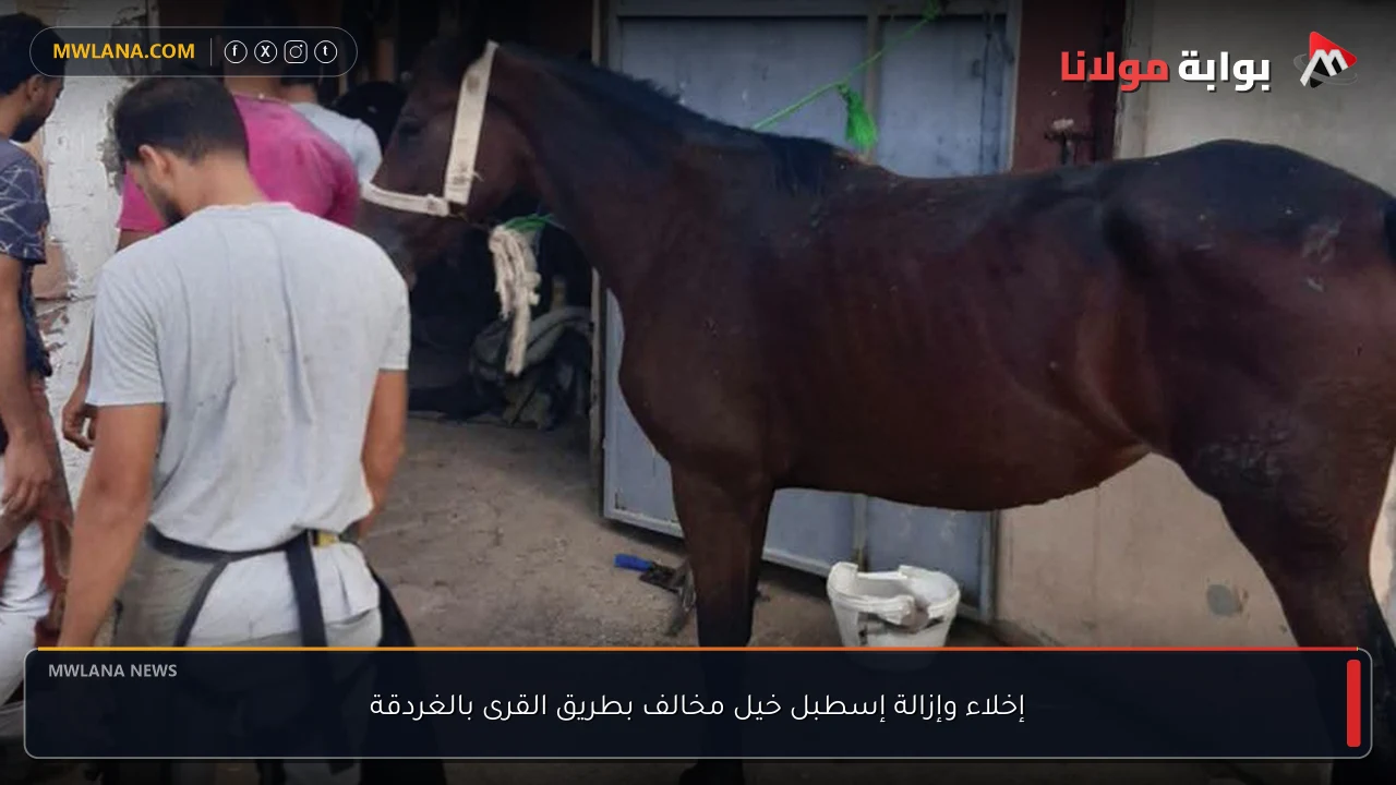 إخلاء وإزالة إسطبل خيل مخالف بطريق القرى بالغردقة