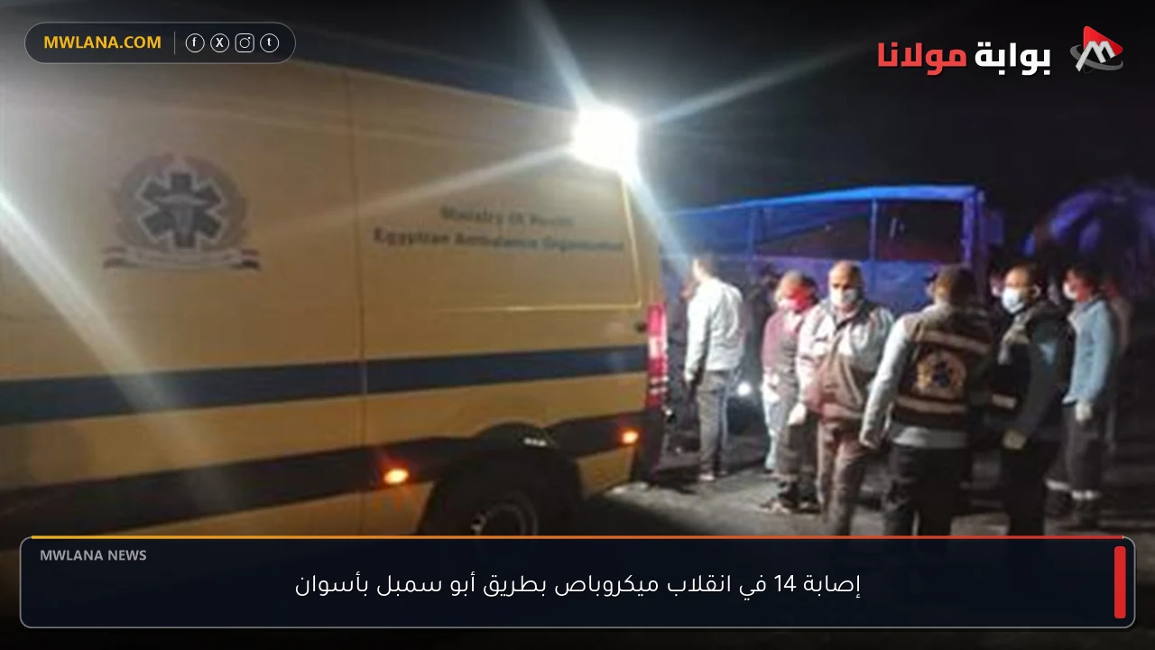 إصابة 14 في انقلاب ميكروباص بطريق أبو سمبل بأسوان