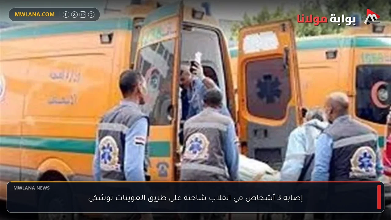 إصابة 3 أشخاص في انقلاب شاحنة على طريق العوينات توشكى