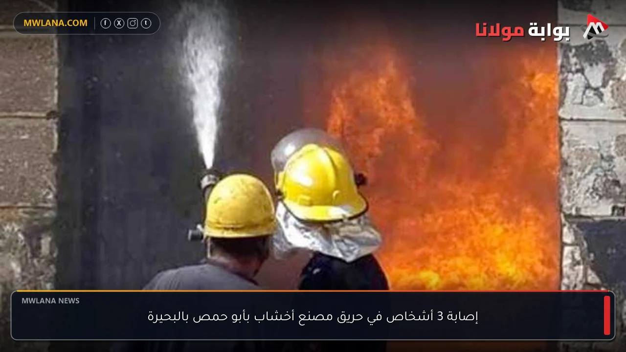 إصابة 3 أشخاص في حريق مصنع أخشاب بأبو حمص بالبحيرة