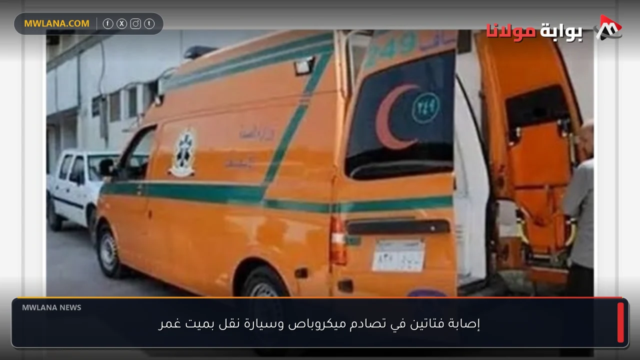 إصابة فتاتين في تصادم ميكروباص وسيارة نقل بميت غمر