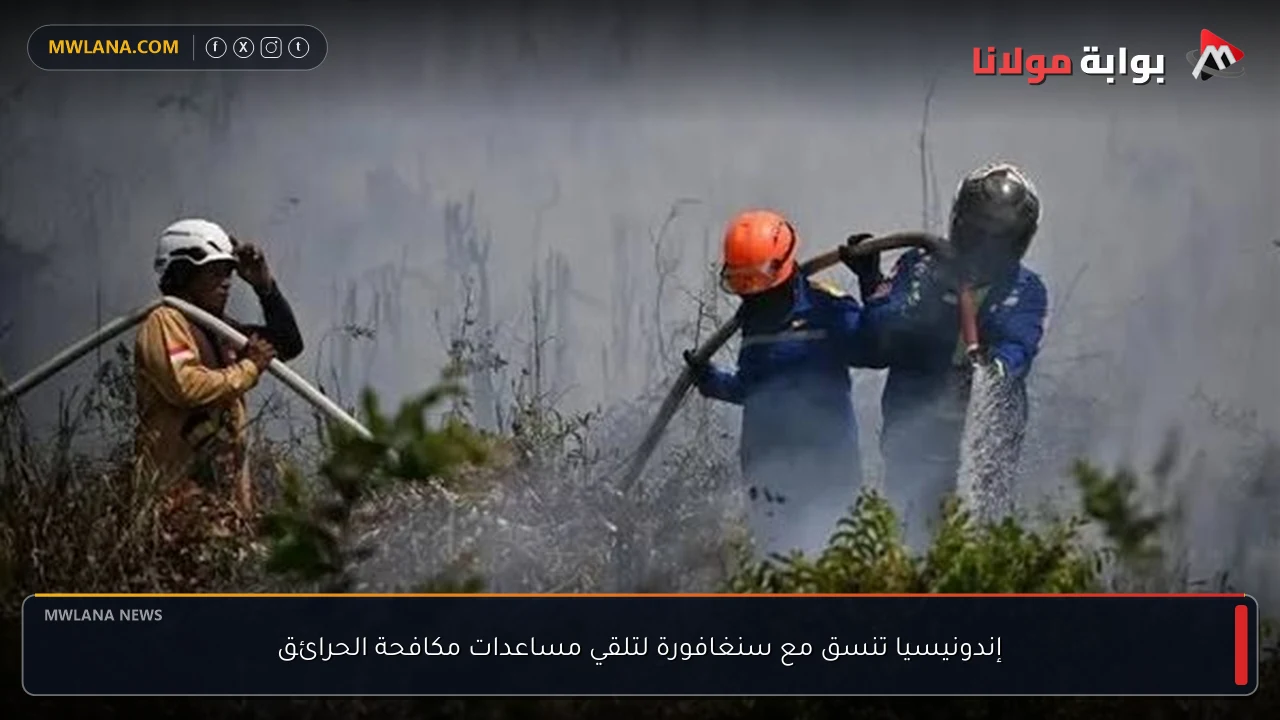 إندونيسيا تنسق مع سنغافورة لتلقي مساعدات مكافحة الحرائق