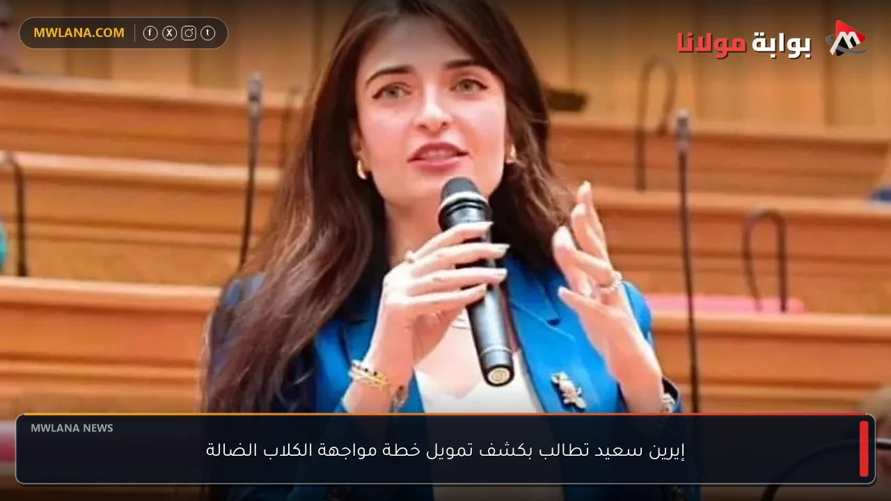 إيرين سعيد تطالب بكشف تمويل خطة مواجهة الكلاب الضالة