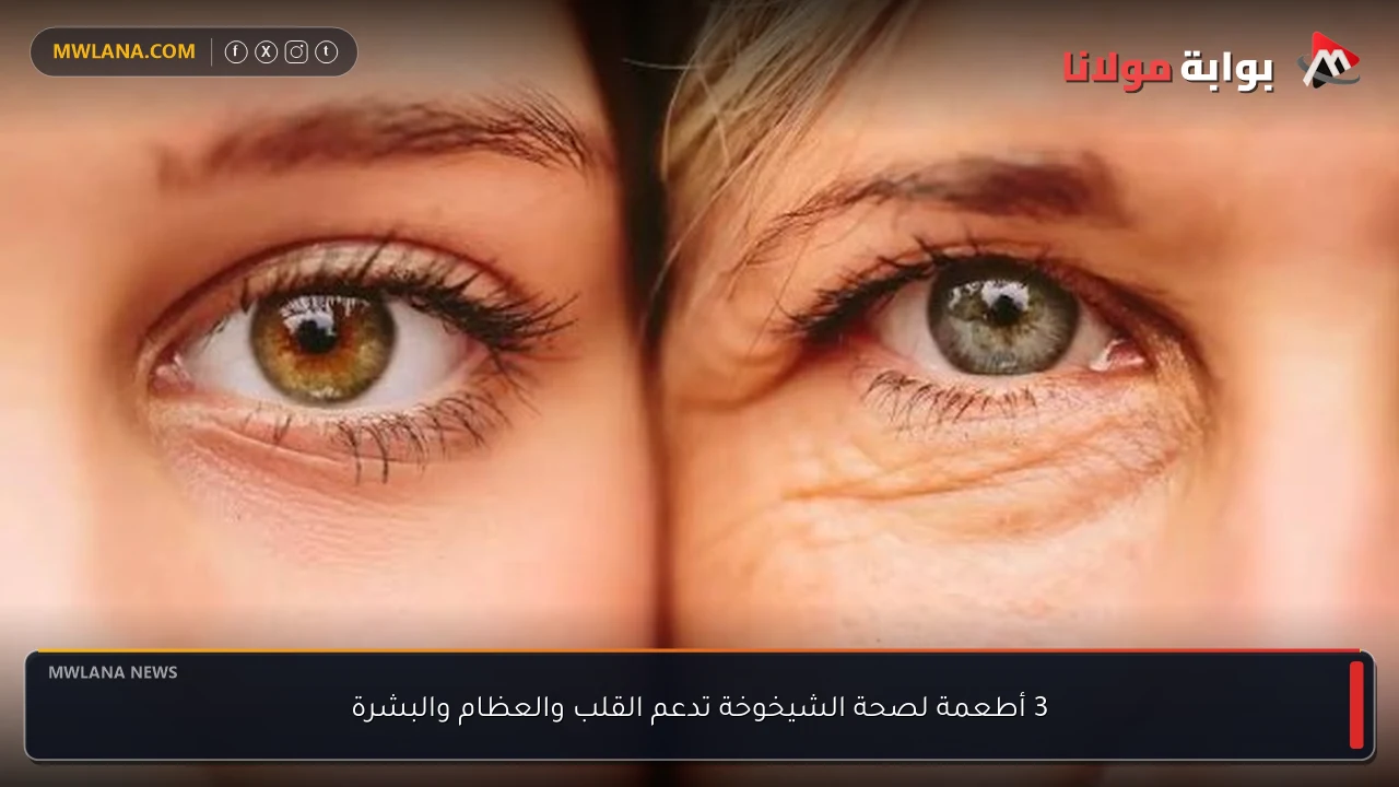 3 أطعمة لصحة الشيخوخة تدعم القلب والعظام والبشرة